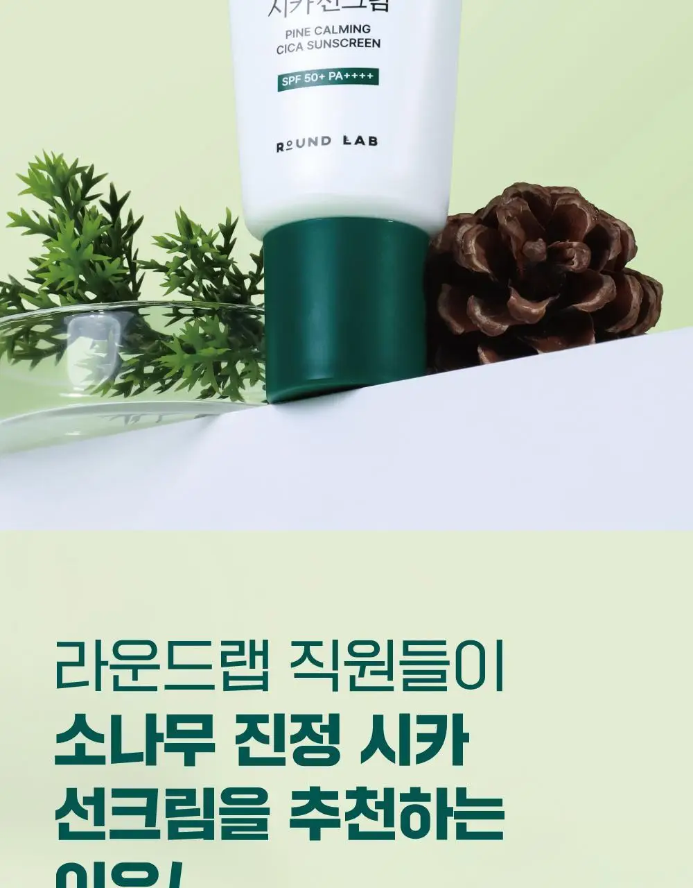 [NEW/한겹밀착] 라운드랩 소나무 진정 시카 선크림 40ml 상세페이지 2